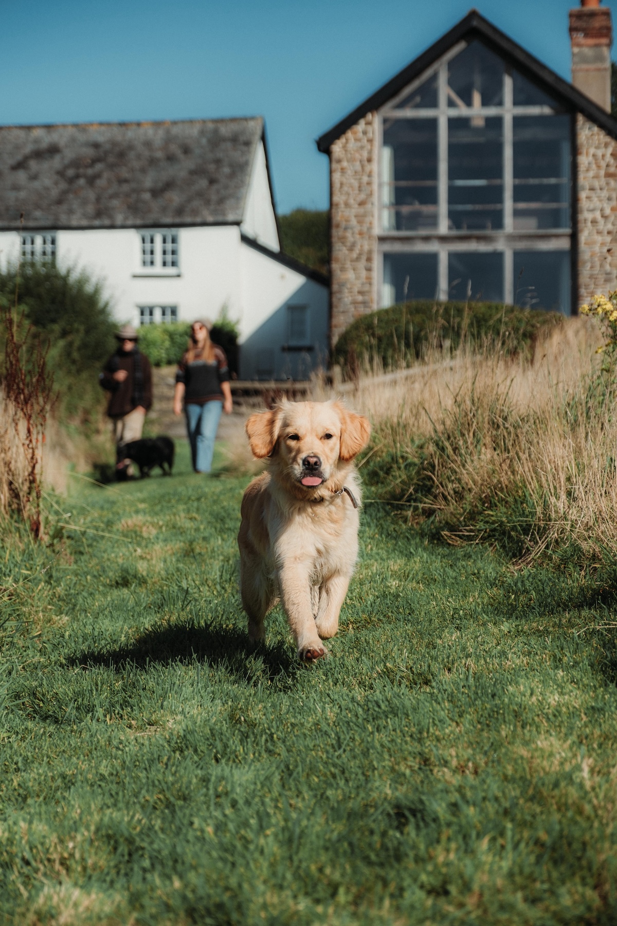 Dog-friendly holiday let garden and accommodation